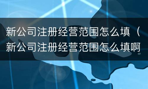 新公司注册经营范围怎么填（新公司注册经营范围怎么填啊）