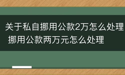 关于私自挪用公款2万怎么处理 挪用公款两万元怎么处理