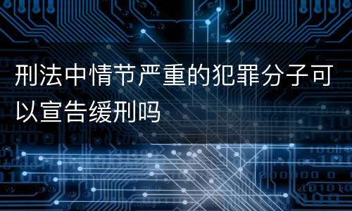 刑法中情节严重的犯罪分子可以宣告缓刑吗