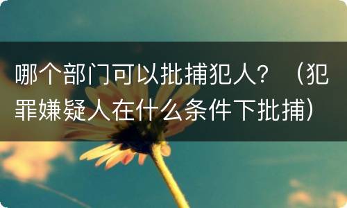 哪个部门可以批捕犯人？（犯罪嫌疑人在什么条件下批捕）