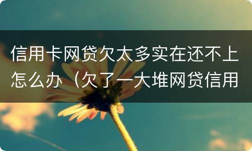 信用卡网贷欠太多实在还不上怎么办（欠了一大堆网贷信用卡还不上）