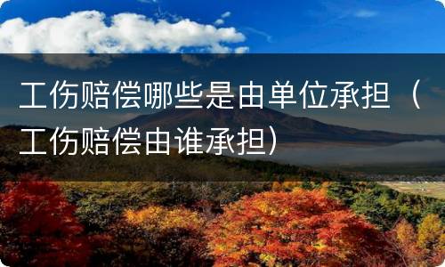 工伤赔偿哪些是由单位承担（工伤赔偿由谁承担）