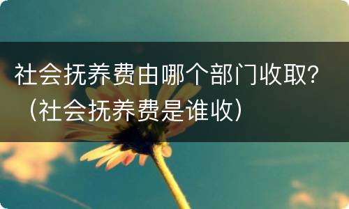 社会抚养费由哪个部门收取？（社会抚养费是谁收）