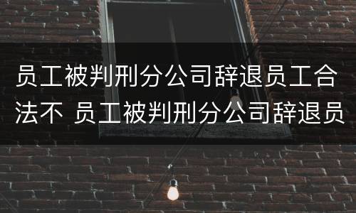 员工被判刑分公司辞退员工合法不 员工被判刑分公司辞退员工合法不