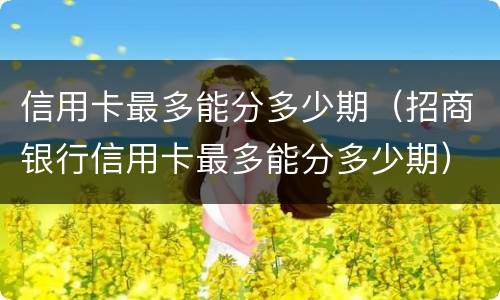 信用卡最多能分多少期（招商银行信用卡最多能分多少期）