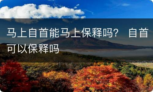 马上自首能马上保释吗？ 自首可以保释吗