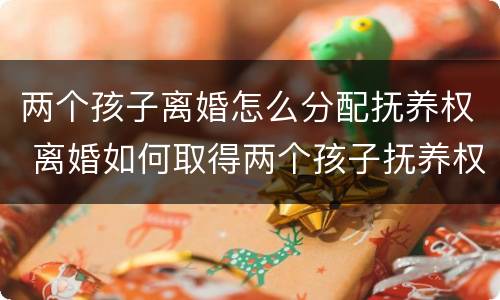 两个孩子离婚怎么分配抚养权 离婚如何取得两个孩子抚养权