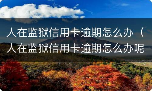 人在监狱信用卡逾期怎么办（人在监狱信用卡逾期怎么办呢）