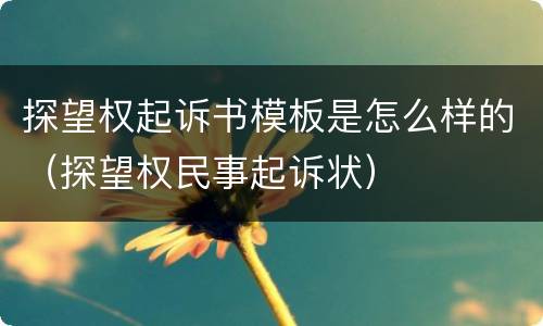 探望权起诉书模板是怎么样的（探望权民事起诉状）