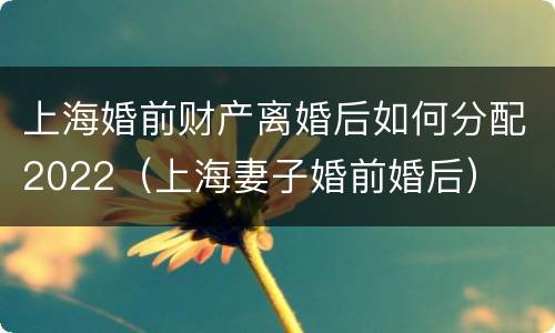 上海婚前财产离婚后如何分配2022（上海妻子婚前婚后）