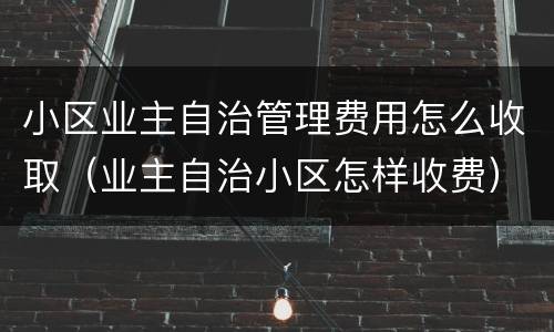 小区业主自治管理费用怎么收取（业主自治小区怎样收费）