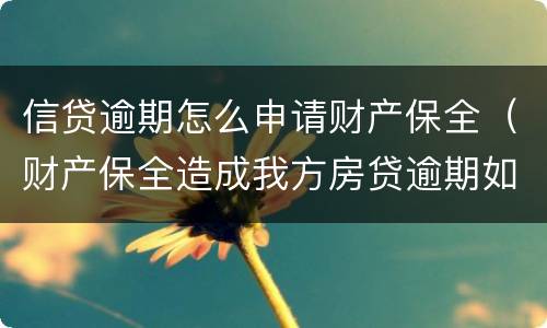 信贷逾期怎么申请财产保全（财产保全造成我方房贷逾期如何处理）