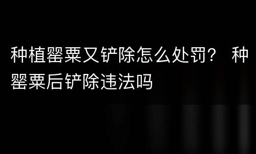 种植罂粟又铲除怎么处罚？ 种罂粟后铲除违法吗