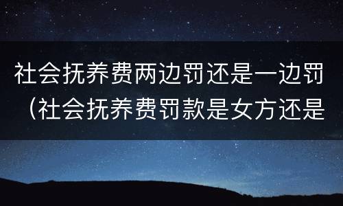 社会抚养费两边罚还是一边罚（社会抚养费罚款是女方还是男方）