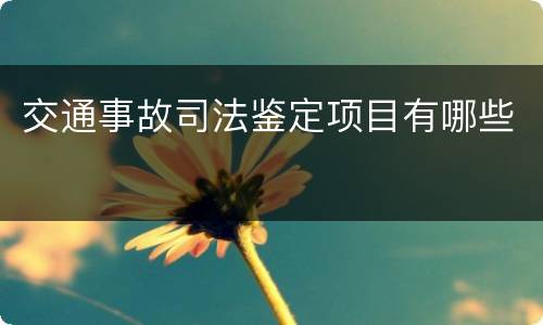 交通事故司法鉴定项目有哪些