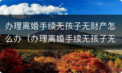 办理离婚手续无孩子无财产怎么办（办理离婚手续无孩子无财产怎么办呢）
