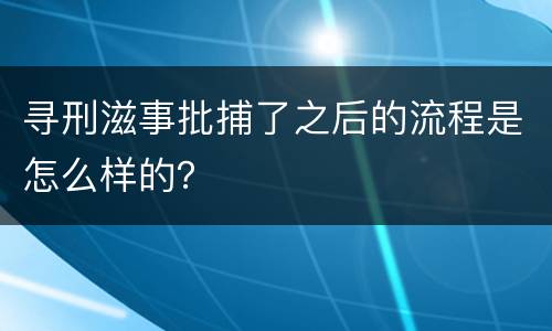 寻刑滋事批捕了之后的流程是怎么样的？