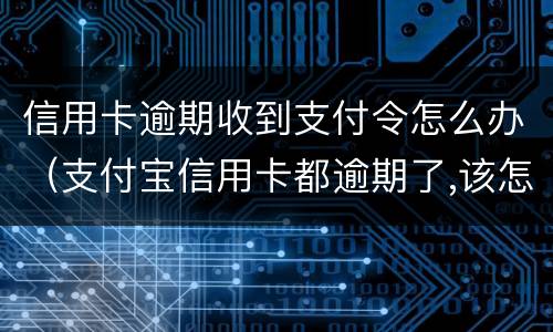 信用卡逾期收到支付令怎么办（支付宝信用卡都逾期了,该怎么处理）