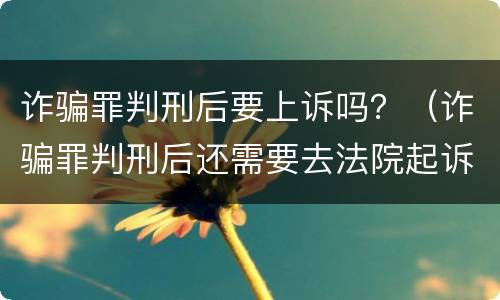 诈骗罪判刑后要上诉吗？（诈骗罪判刑后还需要去法院起诉民事责任吗）
