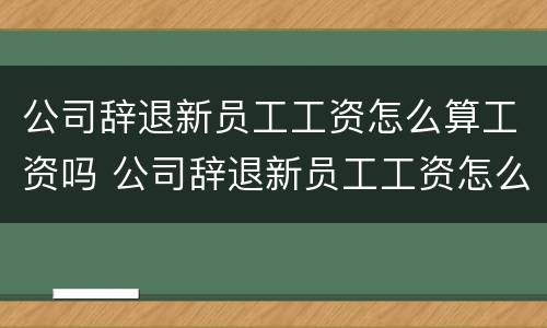 公司辞退新员工工资怎么算工资吗 公司辞退新员工工资怎么算工资吗合法吗