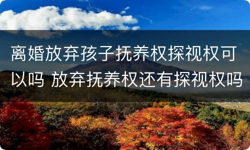 离婚放弃孩子抚养权探视权可以吗 放弃抚养权还有探视权吗