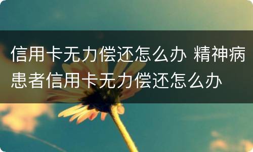 信用卡无力偿还怎么办 精神病患者信用卡无力偿还怎么办