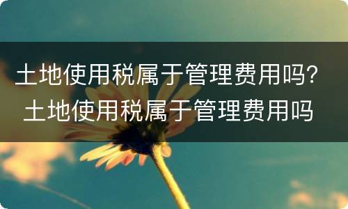 土地使用税属于管理费用吗？ 土地使用税属于管理费用吗