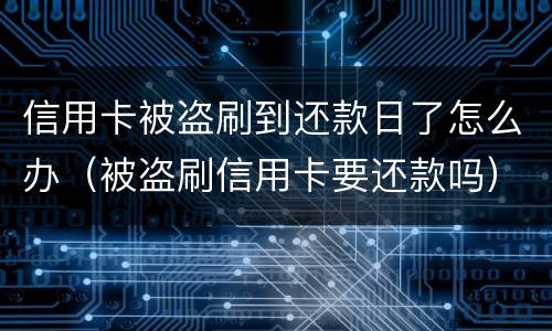 信用卡被盗刷到还款日了怎么办（被盗刷信用卡要还款吗）