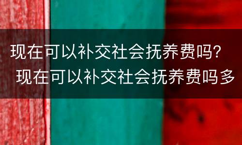 现在可以补交社会抚养费吗？ 现在可以补交社会抚养费吗多少钱