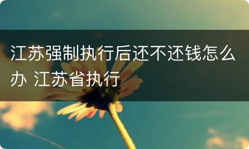 江苏强制执行后还不还钱怎么办 江苏省执行