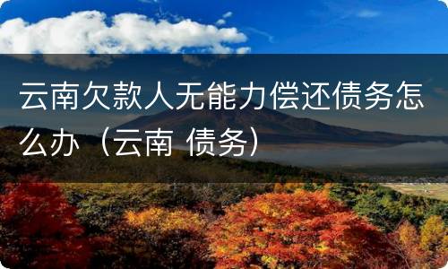 云南欠款人无能力偿还债务怎么办（云南 债务）