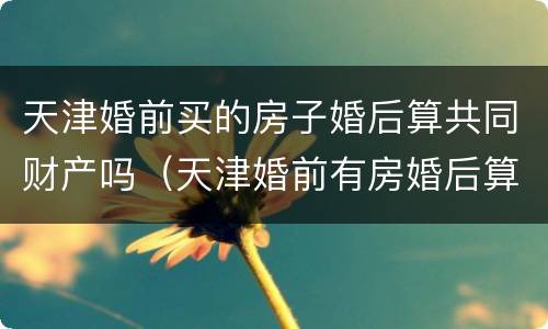 天津婚前买的房子婚后算共同财产吗（天津婚前有房婚后算二套吗）
