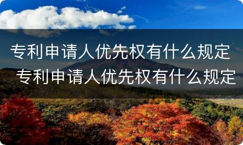 专利申请人优先权有什么规定 专利申请人优先权有什么规定吗