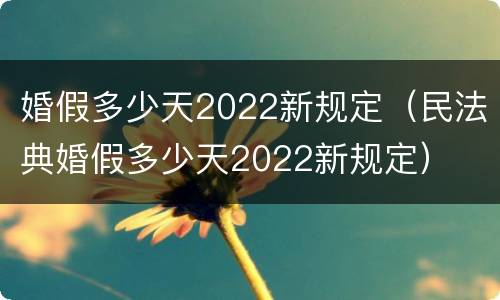 婚假多少天2022新规定（民法典婚假多少天2022新规定）