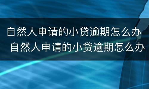 自然人申请的小贷逾期怎么办 自然人申请的小贷逾期怎么办理