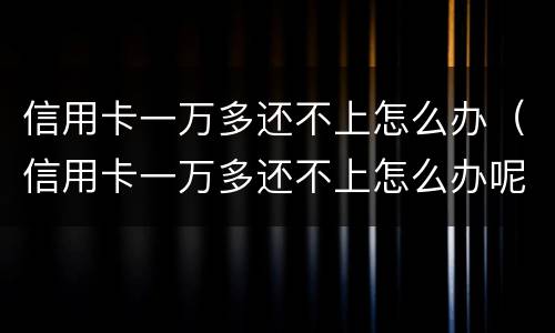 信用卡一万多还不上怎么办（信用卡一万多还不上怎么办呢）