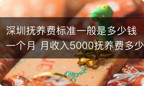深圳抚养费标准一般是多少钱一个月 月收入5000抚养费多少