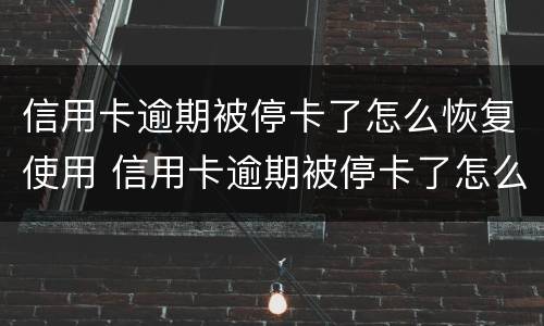 信用卡逾期被停卡了怎么恢复使用 信用卡逾期被停卡了怎么恢复使用额度