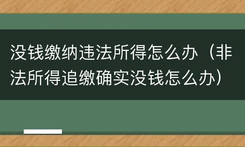 没钱缴纳违法所得怎么办（非法所得追缴确实没钱怎么办）