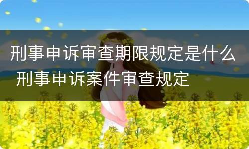 刑事申诉审查期限规定是什么 刑事申诉案件审查规定