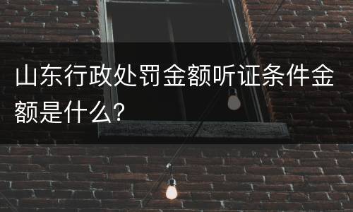 山东行政处罚金额听证条件金额是什么？
