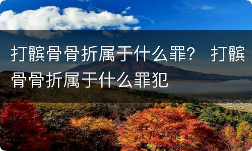 打髌骨骨折属于什么罪？ 打髌骨骨折属于什么罪犯