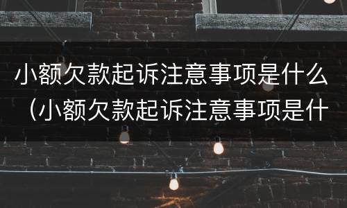 小额欠款起诉注意事项是什么（小额欠款起诉注意事项是什么原因）
