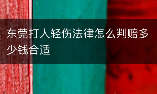 东莞打人轻伤法律怎么判赔多少钱合适