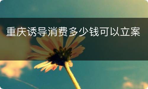 重庆诱导消费多少钱可以立案