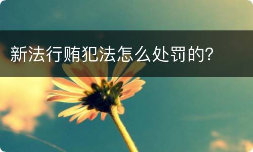 新法行贿犯法怎么处罚的？