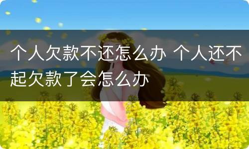 个人欠款不还怎么办 个人还不起欠款了会怎么办