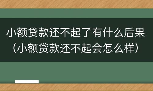 小额贷款还不起了有什么后果（小额贷款还不起会怎么样）