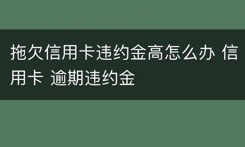 拖欠信用卡违约金高怎么办 信用卡 逾期违约金