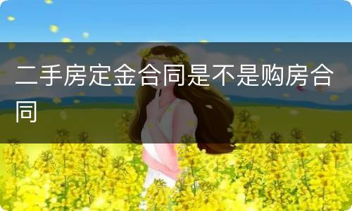 二手房定金合同是不是购房合同